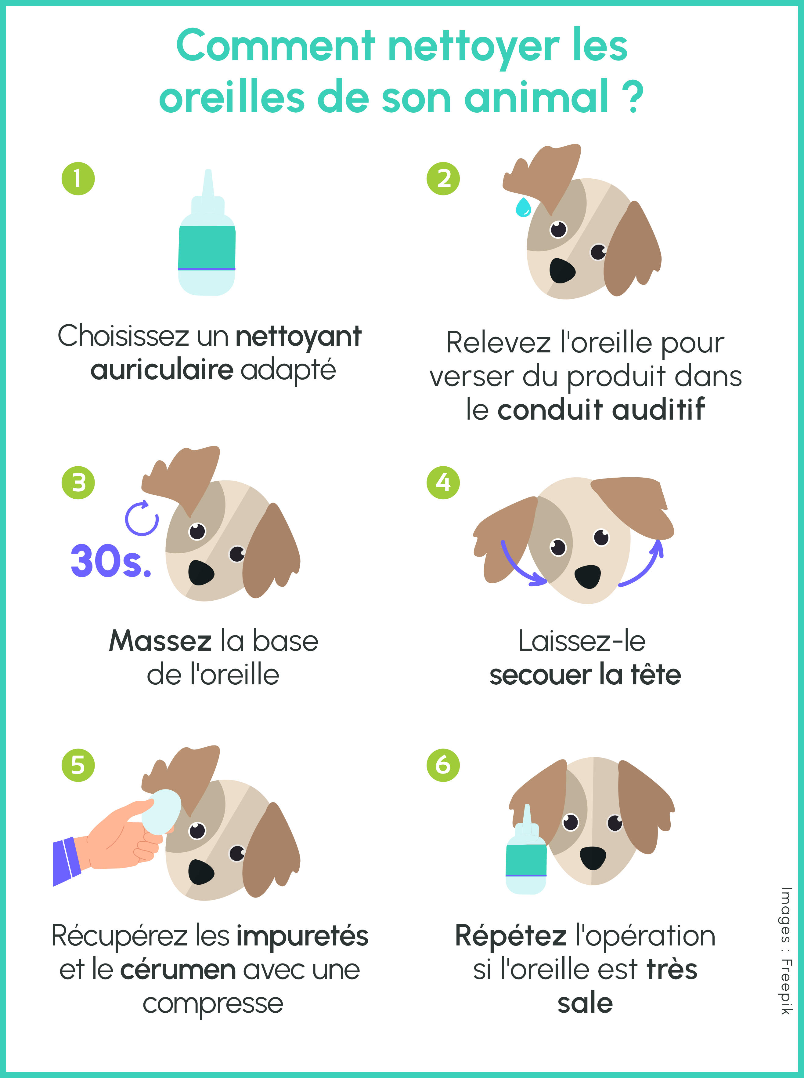 Comment bien nettoyer les oreilles de son chien ? – Toutou Petcare